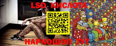 ПСИЛОЦИБИНОВЫЕ ГРИБЫ Краснодар
