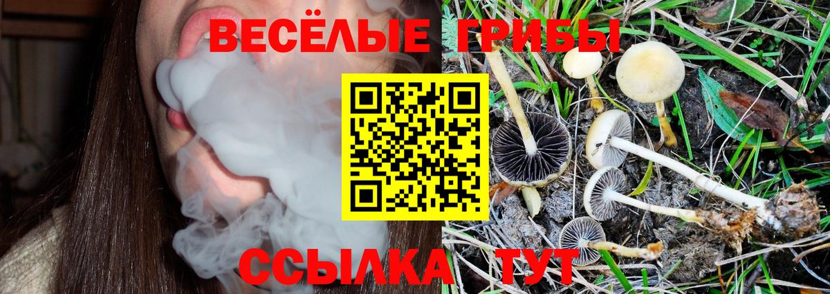 Елец  Галлюциногенные грибы Psilocybine cubensis  Вход с VPN  Галлюциногенные грибы Magic Shrooms 