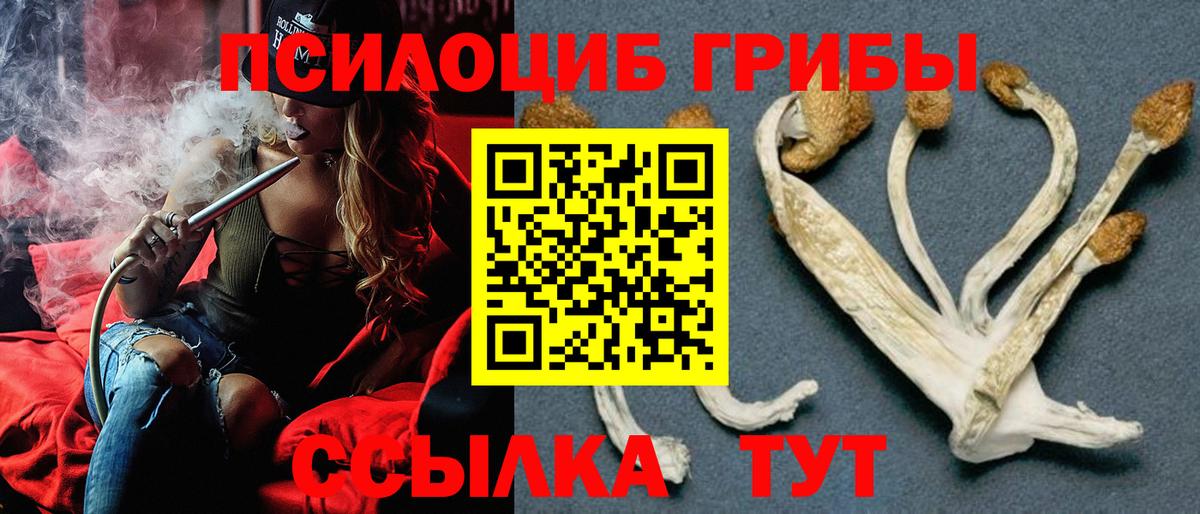 Елец  Марихуана  Магазин наркотиков  Вход с VPN  ТГК  ГАШИШ  Меф МЯУ МЯУ кристаллы 